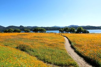 自分の道へ導かれていくには