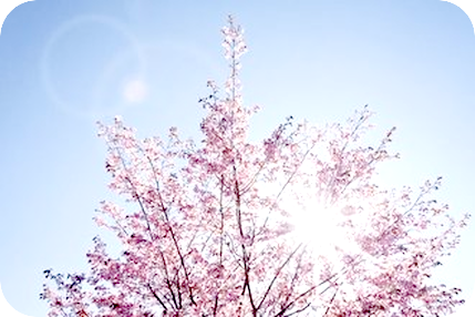 たくさんの仲間が集まり、ひとつの大きなグループや集団（会社など）ができた時、維持していくには？　その２