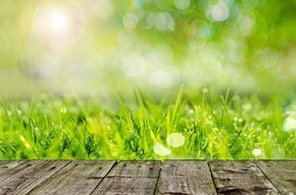 自分の身体の感覚と直感を信じると、自分の道へ運ばれることとは。